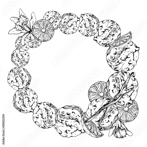 Gelato ice cream balls, chocolate chips, vanilla flower pods, orange slices. graphic wreath frame illustration hand drawn in vector ink. Dessert menu, product label, summer fair decor, snack sticker