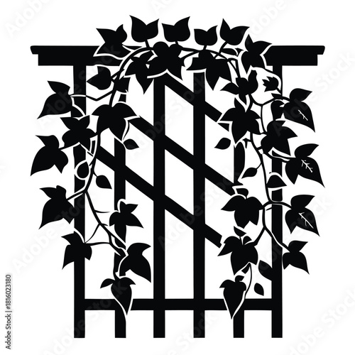ivy growing on wooden trellis black and white silhouette