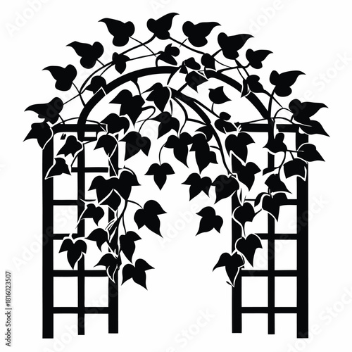ivy growing on wooden trellis black and white silhouette