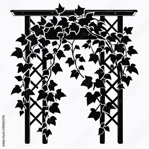 ivy growing on wooden trellis black and white silhouette