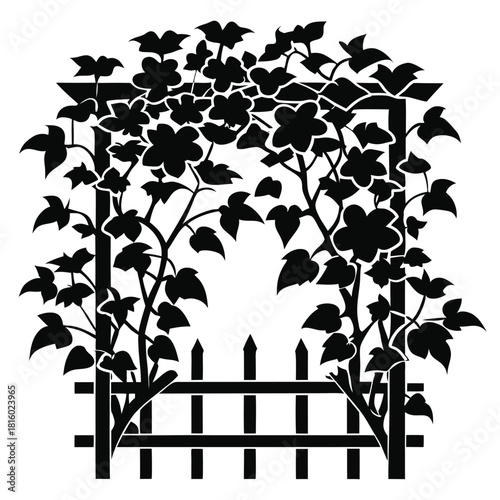 ivy growing on wooden trellis black and white silhouette