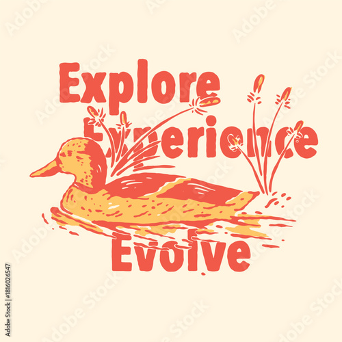 mallard ducks are focused on defending, vintage, mallard, duck, camp, duck camp, outdors