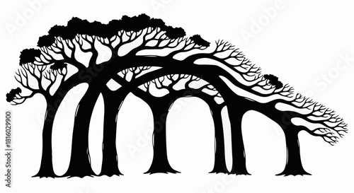 Unique silhouette of intertwined trees forming an archway against a white background