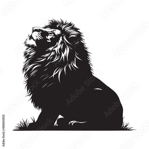 lion vector illustration