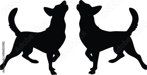 Two chihuahua silhouettes facing each other showcasing their unique postures and form