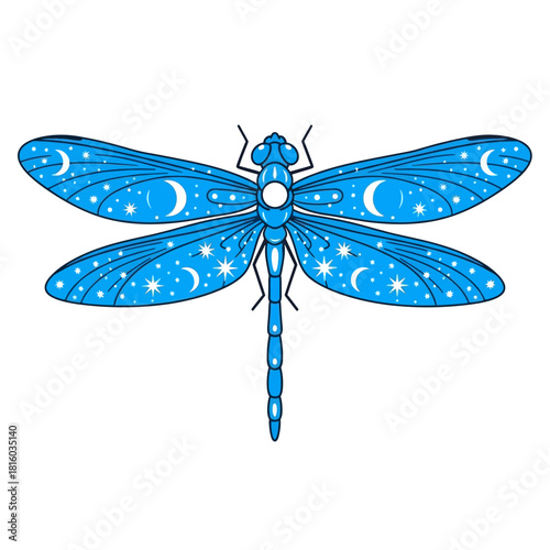 Celestial dragonfly illustration with moon phases and stars on translucent wings elegant design