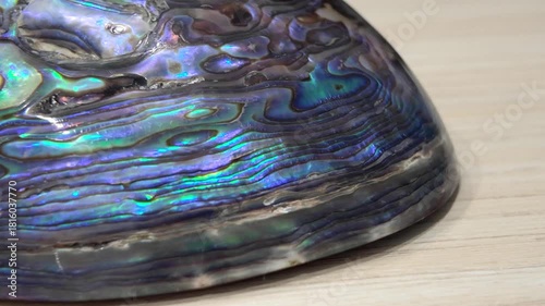 New Zealand Paua shell (Haliotis Iris) isolated on white background.