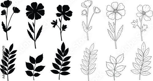 Floral botanical illustration with various wildflowers and delicate leaf arrangements