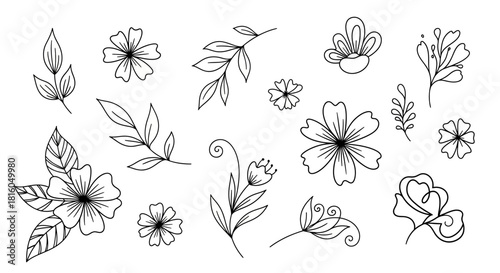 Delicate botanical sketch assortment with outlined flowers and leaves isolated on white backdrop