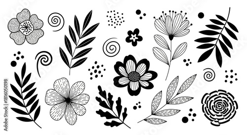 Hand-Drawn Floral Botanical Elements Set: A Clean and Versatile Creative Resource