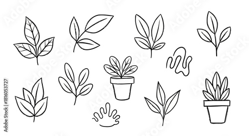 Collection of Hand-Drawn botanical elements, vector illustration of plants and flowers for