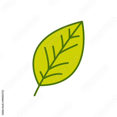 A single bright green leaf with a smooth surface and gentle curves, representing freshness and simplicity. Ideal for eco branding, nature visuals, botanical decorations, and clean vector design.