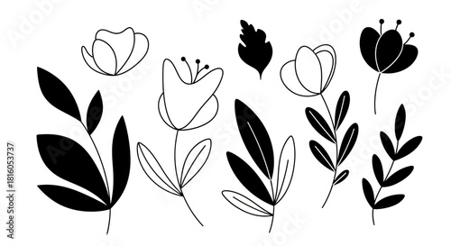 Elegant floral line art collection featuring simple botanical illustrations and minimalist floral