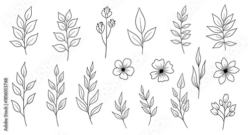 Collection of delicate floral and botanical sketches in black and white outline style graphic