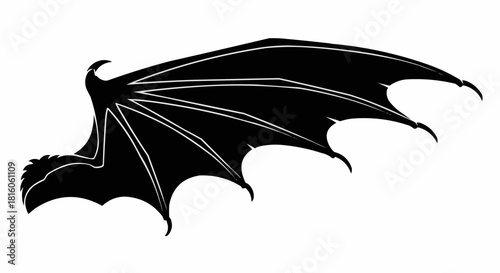 Isolated black silhouette of a mythical dragon wing.