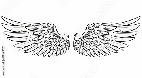 Hand drawn pair of spread angelic wings illustration.