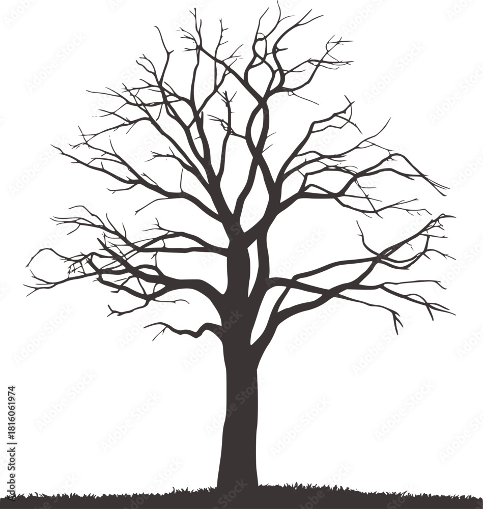 Obraz premium Black and white silhouette of a bare tree with grass