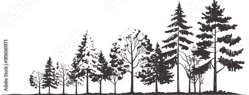 Black and white silhouette forest landscape with varied trees