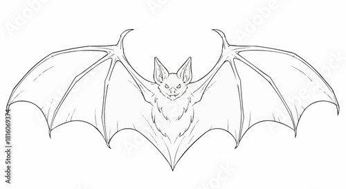 Detailed Sketch of a Bat with Wings Spread Wide.
