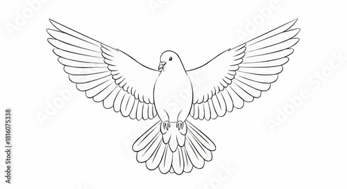 Elegant dove sketch with outstretched wings in graceful flight.