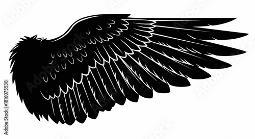 Detailed Black Wing Illustration with Feathered Texture.