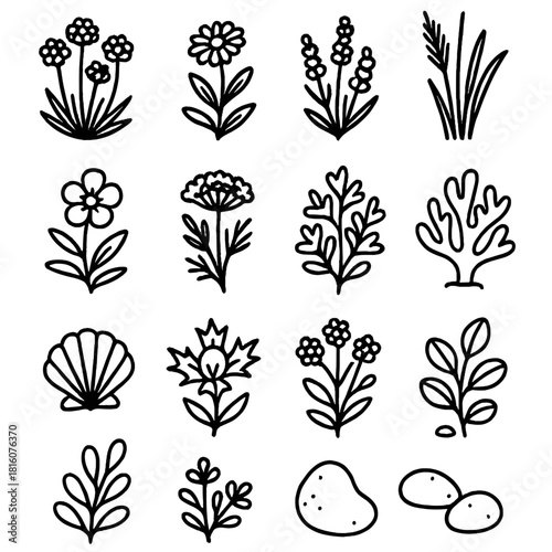 Coastal Wildflower Icons. Coastal Wildflowers linear icon set: sea thrift, sand daisy, seaside lavender, beach grass, rock rose, wild fennel, dune plant, coral bloom, shell accent