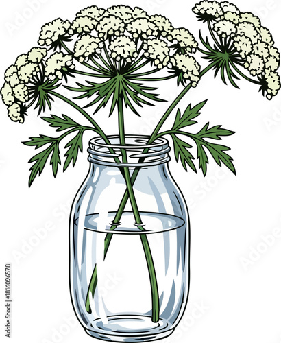 ephemeral charm meadow blooms illuminating a simple rustic glass vase, isolated on transparent background