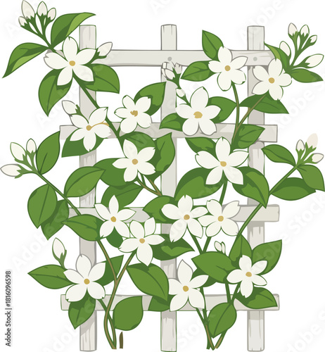 floral ascent white blooms intertwined, cultivating grace and gentle growth, isolated on transparent background