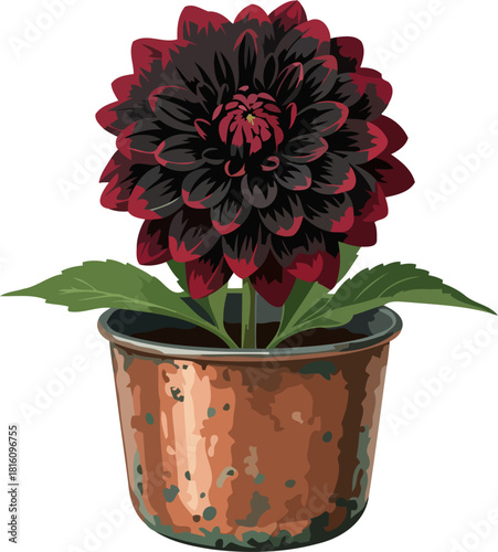 gothic garden jewel dark dahlias allure potted in weathered copper charm, isolated on transparent background
