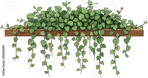 living wall art heartfelt foliage trails, softening spaces with organic elegance, isolated on transparent background