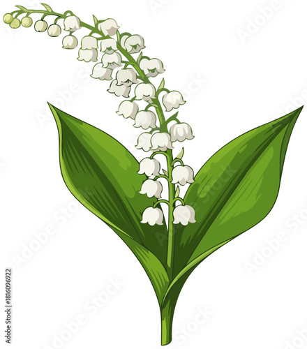 mays precious whisper evoking purity, joy, and fresh beginnings, isolated on transparent background