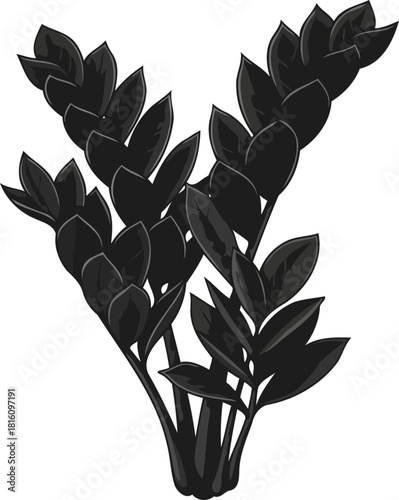 onyx oasis dark botanical elegance capturing natures quiet strength, isolated on transparent background