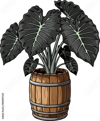 black plant in wooden barrel clip art preview