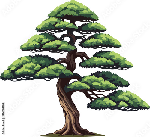 arboreal elegance stylized pine embodying timeless growth and serene beauty, isolated on transparent background