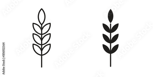 Wheat icons for use web design,logo.Symbol illustration.