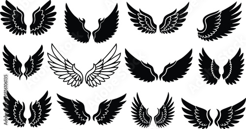 Diverse Collection of Ornate Wing Illustrations for Creative Projects and Designs