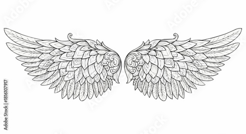 Detailed Line Art Drawing of Angel Wings Spread Open.
