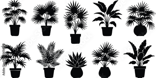 Various indoor plants in pots, showcasing beautiful silhouettes for home decor and design inspiration 