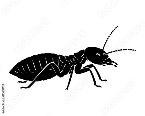 Detailed black and white vector illustration of a common termite, capturing its distinctive silhouette and segmented body, perfect for pest control and entomology designs