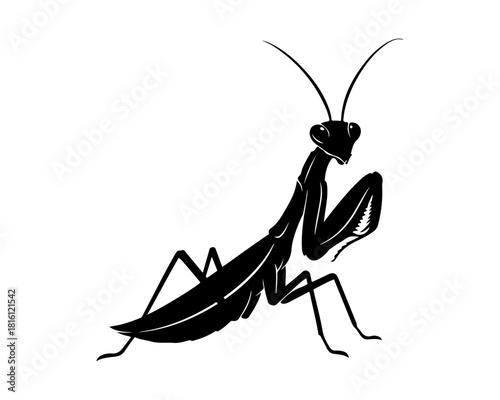 Minimalist Praying Mantis Silhouette Vector Illustration. Modern Insect Graphic for Nature, Wildlife, and Entomology Design Projects