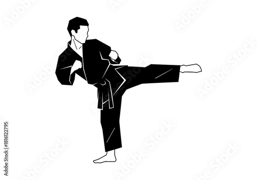 Martial arts silhouette of a karate practitioner performing a high kick