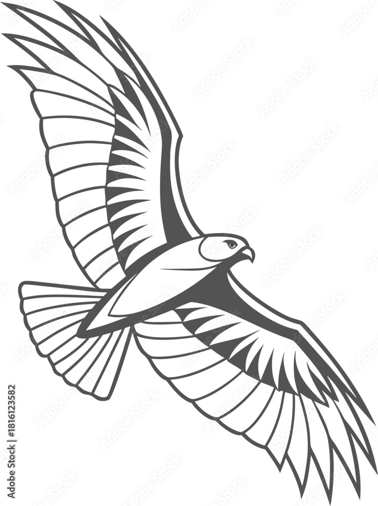 Obraz premium Eagle bird vector silhouette illustration flying with wings