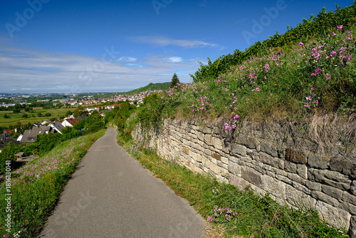 Fototapeta Naklejka Na Ścianę i Meble -  Narrow street and sandstone wall in a small German village