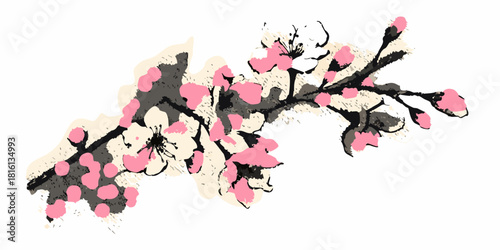 Stylized cherry blossom branch with pink flowers and buds isolated on white