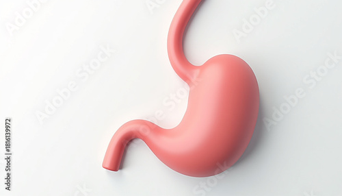 3D Silhouette Icon Set of Human Stomach