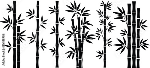 Bamboo illustration featuring various styles and sizes of bamboo plants in a visually appealing arrangement for design projects 