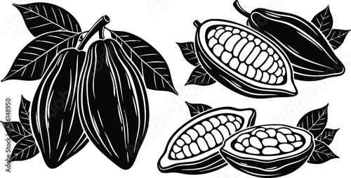 Cocoa beans and pods illustration showcasing detailed features and textures in a monochrome style for design purposes 