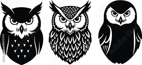 Three unique owl illustrations showcasing distinct features, styles, and expressions for creative design projects 