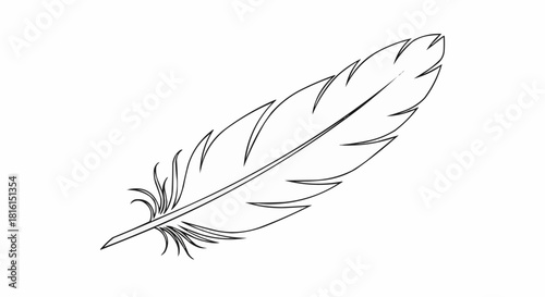 Detailed Sketch of a Feather with Delicate Barbs and Central Quill.