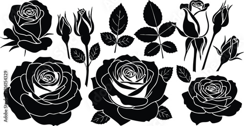 Black roses collection featuring various styles and sizes for floral design and decoration needs 